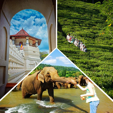 One Day Kandy & Pinnawala Excursion