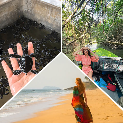 Two Days Benthota Beach Tour